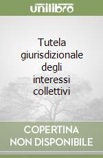 Tutela giurisdizionale degli interessi collettivi libro