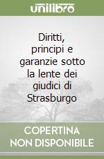 Diritti, principi e garanzie sotto la lente dei giudici di Strasburgo libro