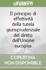 Il principio di effettività della tutela giurisprudenziale del diritto dell'Unione europea libro