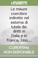 Le misure coercitive indirette nel sistema di tutela dei diritti in Italia e in Francia. Uno studio comparatistico libro