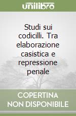 Studi sui codicilli. Tra elaborazione casistica e repressione penale