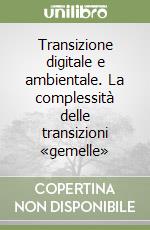 Transizione digitale e ambientale. La complessità delle transizioni «gemelle»
