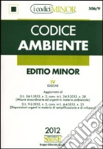 Codice ambiente. Ediz. minore