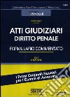 Atti giudiziari di diritto penale. Formulario commentato libro