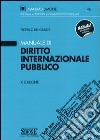 Manuale di diritto internazionale pubblico libro