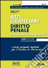 Atti giudiziari. Diritto penale. Formulario commentato libro