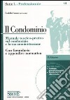 Il condominio. Manuale teorico-pratico sul condominio e la sua amministrazione. Con CD-ROM libro