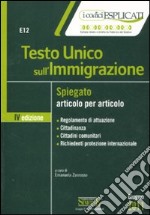 Testo Unico sull'immigrazione spiegato articolo per articolo