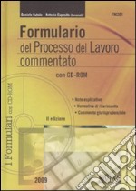 Formulario del processo del lavoro commentato. Con CD-ROM