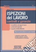 Ispezioni del lavoro. Controlli e garanzia