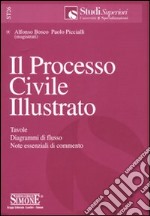 Il processo civile illustrato