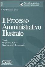 Il processo amministrativo illustrato libro