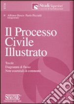 Il processo civile illustrato. Tavole, diagrammi di flusso, note essenziali di commento