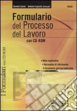 Formulario del processo del lavoro. Con CD-ROM libro