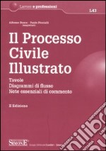 Il processo civile illustrato