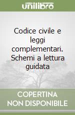 Codice civile e leggi complementari. Schemi a lettura guidata