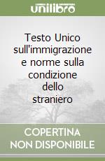 Testo Unico sull'immigrazione e norme sulla condizione dello straniero libro