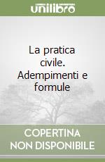 La pratica civile. Adempimenti e formule libro