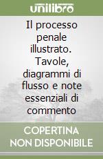 Il processo penale illustrato. Tavole, diagrammi di flusso e note essenziali di commento libro