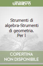 Strumenti di algebra-Strumenti di geometria. Per l libro