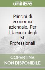 Principi di economia aziendale. Per il biennio degli Ist. Professionali libro