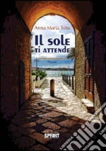 Il sole ti attende libro