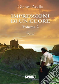 Impressioni di un cuore. Vol. 2 libro