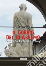 Il dubbio del blasfemo. Cosa c'entra Dante col Big Bang? libro