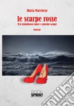 Le scarpe rosse. Tra tumultuoso mare e placide acque libro