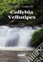 Collybia Vellutipes libro