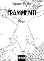 Frammenti