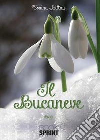 Il bucaneve libro