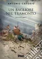 Un bagliore nel tramonto libro