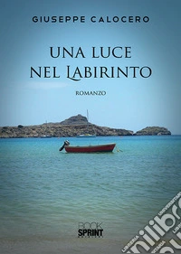 Una luce nel labirinto libro