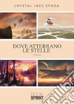 Dove atterrano le stelle libro