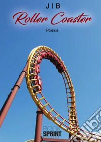 Roller coaster libro