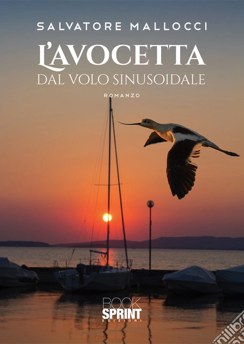 L'avocetta dal volo sinusoidale