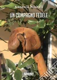 Un compagno fedele