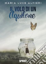 Il volo di un aquilone libro