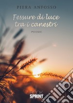 Fessure di luce tra i canestri libro