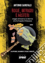 Bugie, intrighi e misteri libro