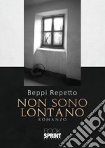 Non sono lontano libro