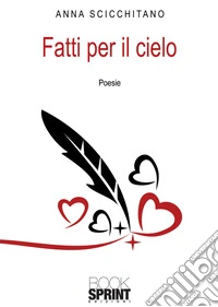 Fatti per il cielo libro