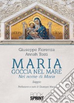 Maria goccia nel mare libro