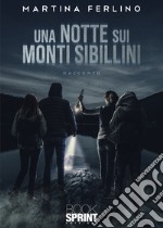 Una notte sui Monti Sibillini libro