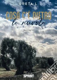 Cosa c'è dietro le nuvole libro