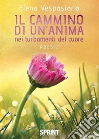 Il cammino di un'anima nei turbamenti libro