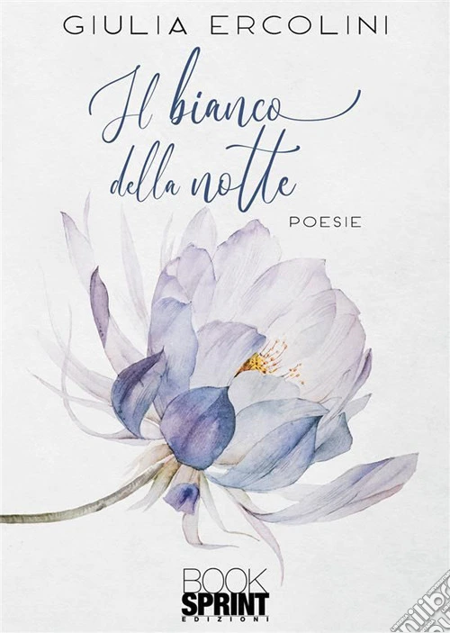 Il bianco della notte