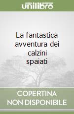 La fantastica avventura dei calzini spaiati libro