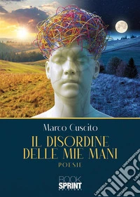 Il disordine delle mie mani libro